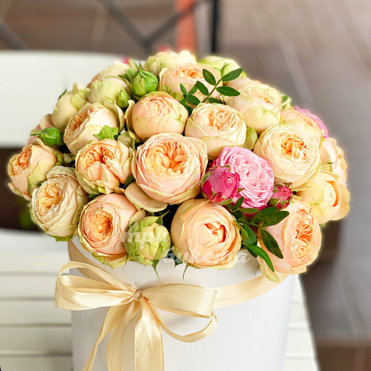 25 пионовидных роз в коробке (крупный план)