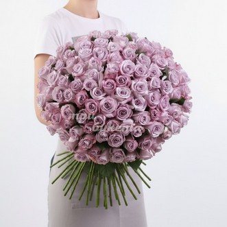 101 пурпурная роза (Premium) 60 см