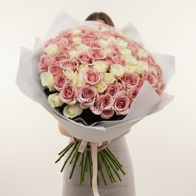 101 розовая и белая роза (Premium)