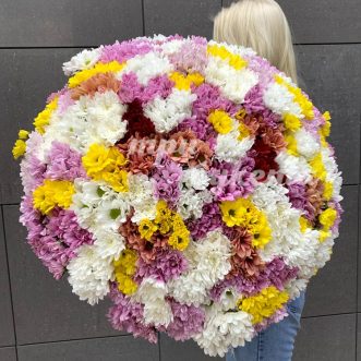 Букет из 81 хризантемы